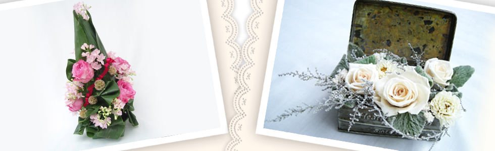 img-top_type2-03.png