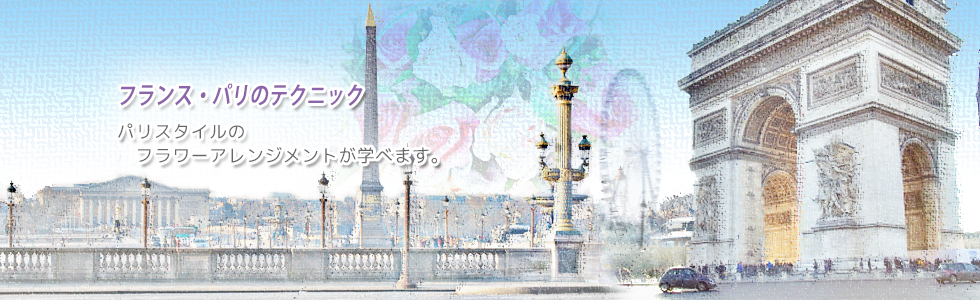 img-top_type2-06.png