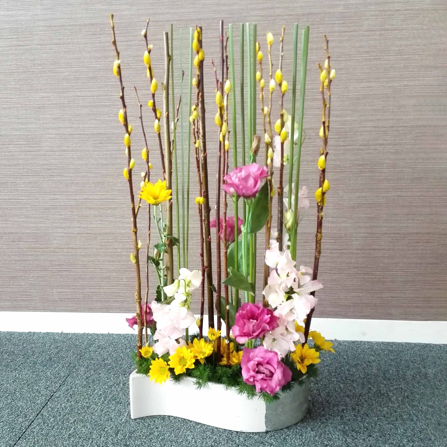 ディスプレイコース